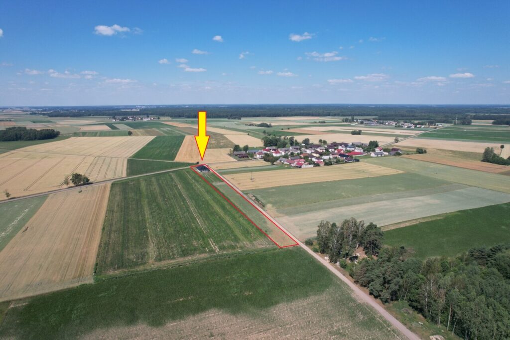 odznaczenie-3_Easy-Resize.com_-1024×682